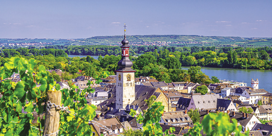 Discovering Rüdesheim