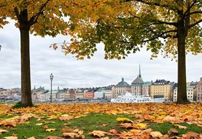 Embracing Hygge in Stockholm's Golden Autumn