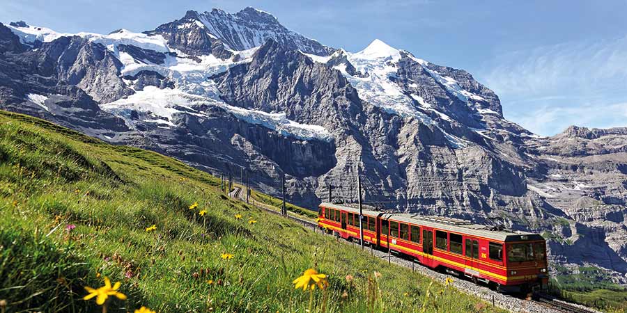 Jungfrau Express train traveling through the Swiss Alps, a red train travelling down a slope surrounded by snow-covered mountains in the background. A grassy hill with flowers can be seen in the foreground. 